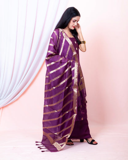 Chiniya Silk Banarasi Suit (Aanisah)