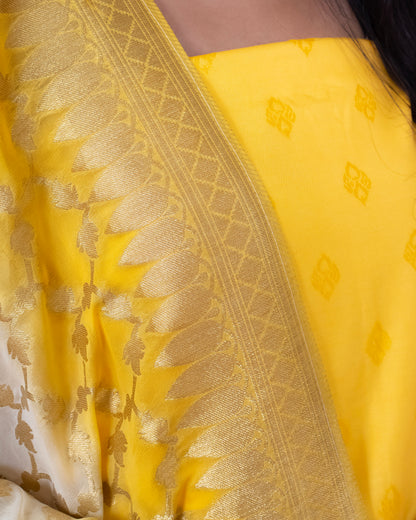 Cotton Silk Tanchoi Banarasi Suit (Aabirahh)