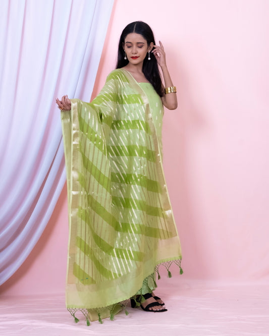 Chiniya Silk Banarasi Suit (Aabidah)